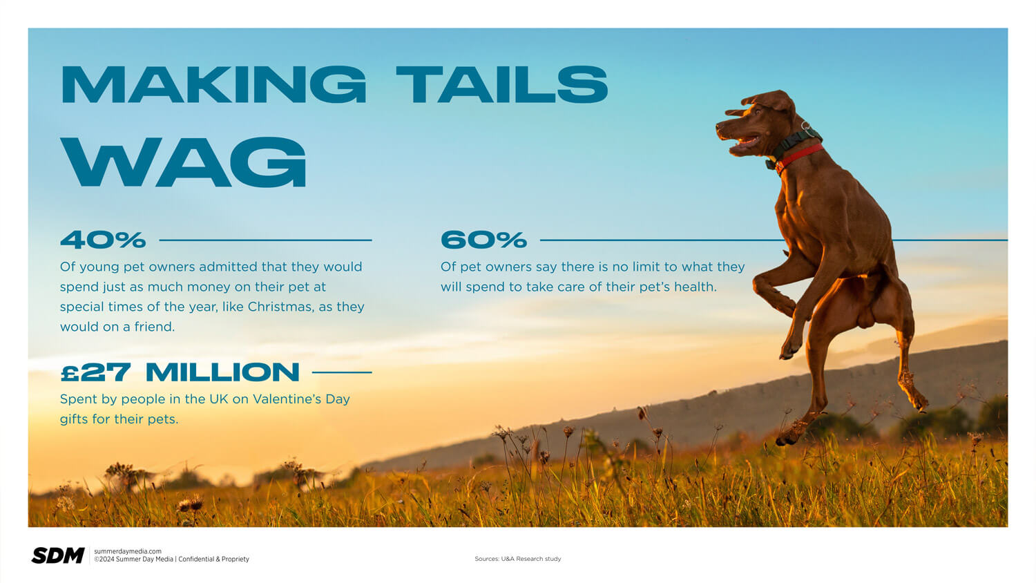 Unleashing your pet brands full potential